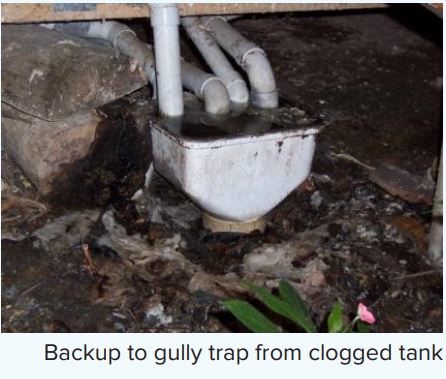 clogged gully trap